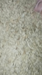 Benih Bibit Padi Huma Padi Darat Kualitas Unggul Kemasan 1 kg