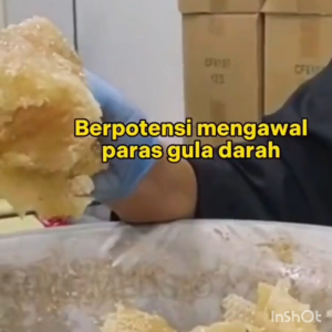 Madu Tualang 100%Asli /天然 Tualang 蜂蜜)Berpontensi meningkatkan kesuburan lelaki