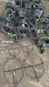 1 cái bẫy kẹp chuột cực nhạy(hình vòng cungtròn)