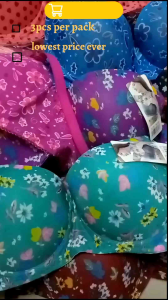 3pcs Adult bra with foam and wire3pcs per set random color