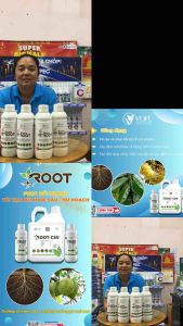 AMINO ROOT 1 lít ( NÂNG pH KÍCH RỄ BUNG CHỒI LỚN TRÁI LÊN MÀU PHỤC HỒI CÂY SUY) Phân Bón Hữu Cơ Nâng Ph Đảm Bảo Chất Lượng Cây Trồng Tốt Hơn - Lazada