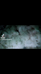 ข้าวตังดิบ(แผ่นหัก) 6*6ซม. 1กิโลกรัม ทำจากข้าวหอมมะลิ