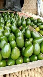 1kg Alpuket mentega tua sufer kuning fresh 1kg isi 5-6-7