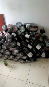 Jemuran Folding Hanger 30 Stick Gantungan Baju anak murah  / Jemuran Bayi