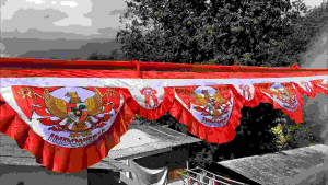 Bendera Background Semi Bunga Garuda Merah Putih Panjang 8 Meter