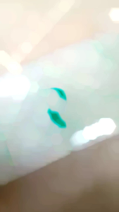 Kapas Hijau Spons Akuarium 2 Lapis Filter Akuarium