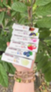 Hộp 30 Thanh Kẹo Sữa Chua Hoa Quả Mix Nhiều Vị Ăn Vặt Nội Địa Kẹo Mềm Trái Cây Thanh 17G K87 - Bule Shop