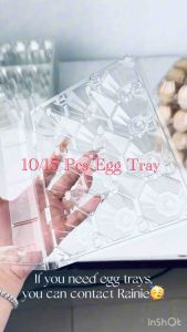 Plastic Egg Box > 10Pcs/15Pcs Egg Box > Refrigerator Egg Storage Box Container MTP-ET-05/ET/10
