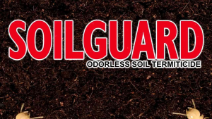 SOILGUARD BY SOLIGNUM ANTI ANAY/TERMINTES 250ML500ML 1000ML(1LITER) 1GALLON WITH CYPERIMETHRIN Soilguard Termite Termite Medicine - Lazada