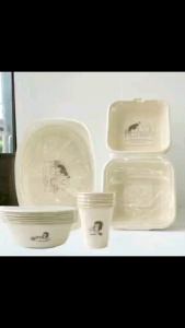 แคมป์ปิ้ง เซ็ต แพ็กเล็ก 10 ชิ้น สุดคิ้วท์ Cute พกพาง่าย จาน ชานอ้อยแท้ 100% น้องมะม่วง กล่องใส่อาหาร ชุดจัดเบรก เบเกอร์รี่