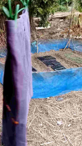 กระโปรง กระโปรงมือสอง กระโปรงสั้นเหนือเข่า กระโปรงสาวออฟฟิต ไม่มีตำหนิ