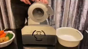 2 in 1 Shredding & Slicing Machine.#Mesin potong keping #Mesin potong bawang & halia