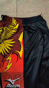 Celana Pria Olahraga Volley: Tips dan Rekomendasi