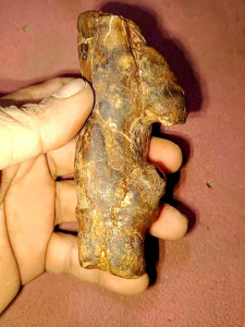 Bambu Petuk Fosil: Produk Alami & Tahan Lama