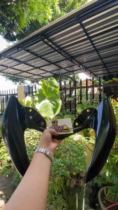 BEHEL NMAX BEGEL NMAX PLANGER NMAX BEHEL TANDUK NMAX BEGEL TANDUK NMAX PLANGER TANDUK NMAX BEHEL PLANGER TANDUK MMAX NEW NMAX OLD