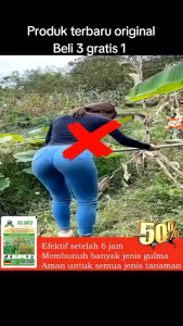 [BELI 3 GRATIS 1] BUBUK HERBISIDA KILLGRASS Biologis