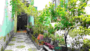 béc loa xịt phun thuốc trừ sâu lỗi sứ Taiwan tặng kèm lỗi sứ .