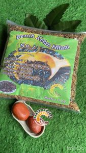 Benih ketan hitam / bibit ketan hitam impor 1 kg