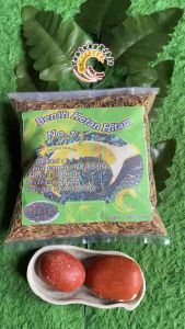 Benih Ketan Hitam: Bibit Padi Ketan Hitam Impor 250 Gram