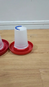 Waterer For Chicken  Poultry farm / painoman ng manok  ( 1/4  1/2  1 gallon )