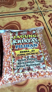 1 Kg Jagung Kristal Super