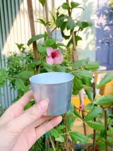 COMBO 5 Ly nhôm ly làm đá nhôm bỏ tủ lạnh đủ size từ 8cm - 12cm rất tiện lợi cho gia đình