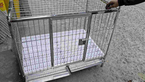 2×3×2.5 stainless 304 cage ONHAND