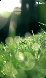 Sepatu Karet Pria ATT AWK 578 Slip On Kasual