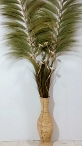 Rayung Kering Beli 2pcs Jumbo GRATIS 3 Bambu Ulir Murah!!! Aesthetic Bunga Hiasan Rumah Dekorasi Rumah