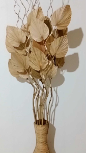 Jual 2 pcs Stik Daun Palm