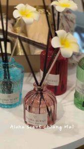 ขวดดีไซน์หลายสีสำหรับแบ่งบรรจุดิฟฟิวเซอร์ขนาดใหญ่ (Multi-colored design bottles for repacking large-capacity diffusers)