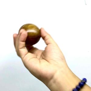 Maracas Bola Shaker Ball Alat Musik Perkusi