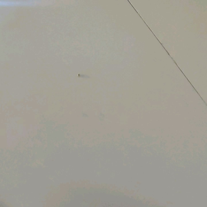 Kawat Bonsai Doft Paket 30 Meter 1MM & 2MM