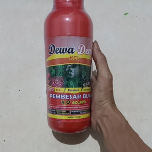 DEWA DEWI 1 LITER /HIJUA BUAH MANOHARA Pupuk Cair Pembesar Buah