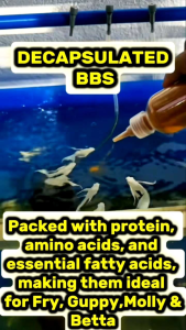 DECAPSULATED BBS BABY BRINE SHRIMP FISH FOOD FOR FRY GUPPY BETTA MOLLY GOLD FISHTETRA SMALL FISH & MARINE FISH