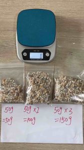 เปลือกหอยเจาะ วัสดุงานฝีมือ DIY 50g DRILLED SEASHELLS สำหรับตกแต่งสวน