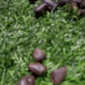 set 5 biji kocak kecil