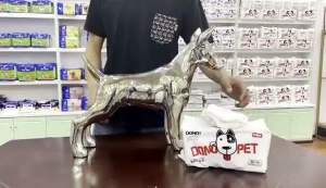 Dono Disposable Dog Diapers Female Diapers