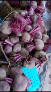 buah bit fresh 1 kg pengiriman dari ciwidey