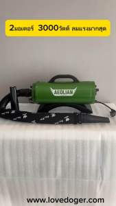 เกรดAไดร์ไล่น้ำเป่าร้อนดีที่สุด(AeolianPro 2มอเตอร์รุ่นใหม่) บอดี้เหล็ก ลมแรงมาก มอเตอร์amatekอัพเกรดใหม่ทนสุด ปลั๊ก2ขา