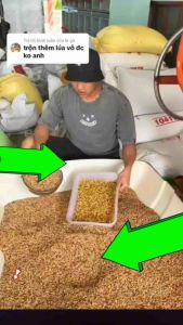 ngũ cốc gà đá 17 loại hạt túi 1kg