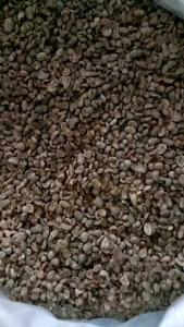Greenbean Aceh Gayo Comersil 1kg
