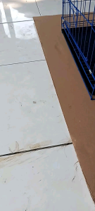 Kandang Kucing Lipat Uk/30×45×35 D.Cat Cotting