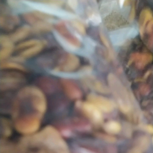 PROMO Termurah Kacang Koro Kulit 1 KG