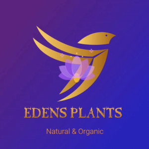 Thai Buddhist souvenir ( laser engraved ready made & customizable)