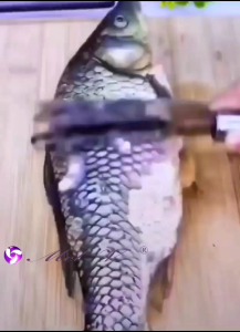 Alat pembersih sisik ikan stainless 3in1 pisau pemotong ikan serbaguna