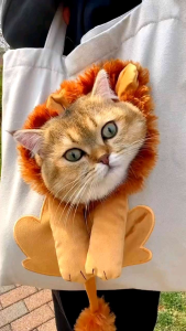 TOTE BAG TAS BAHU MODEL KOREA MOTIF SINGA UNTUK KUCING & ANJING