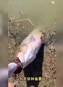 SPRAY PEWANGI UMPAN MEMANCING IKAN Spray umpan ikan Sangat disukai oleh ikan kaki pancing lebih mudah memancing ikan