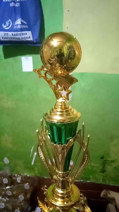 Piala Bola Kaki 8 Murah: Panduan Lengkap