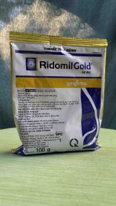 Thuốc trừ bệnh Ridomil Gold 68WG ( gói 100G ) thuốc nội hấp cực mạnh trị bệnh sương mai hại ca cao thán thư hại điều loét sọc mặt cạo cao su chết cây con hại thuốc lá lạc chết nhanh hại hồ tiêu đốm lá hại ngô ( bắp )